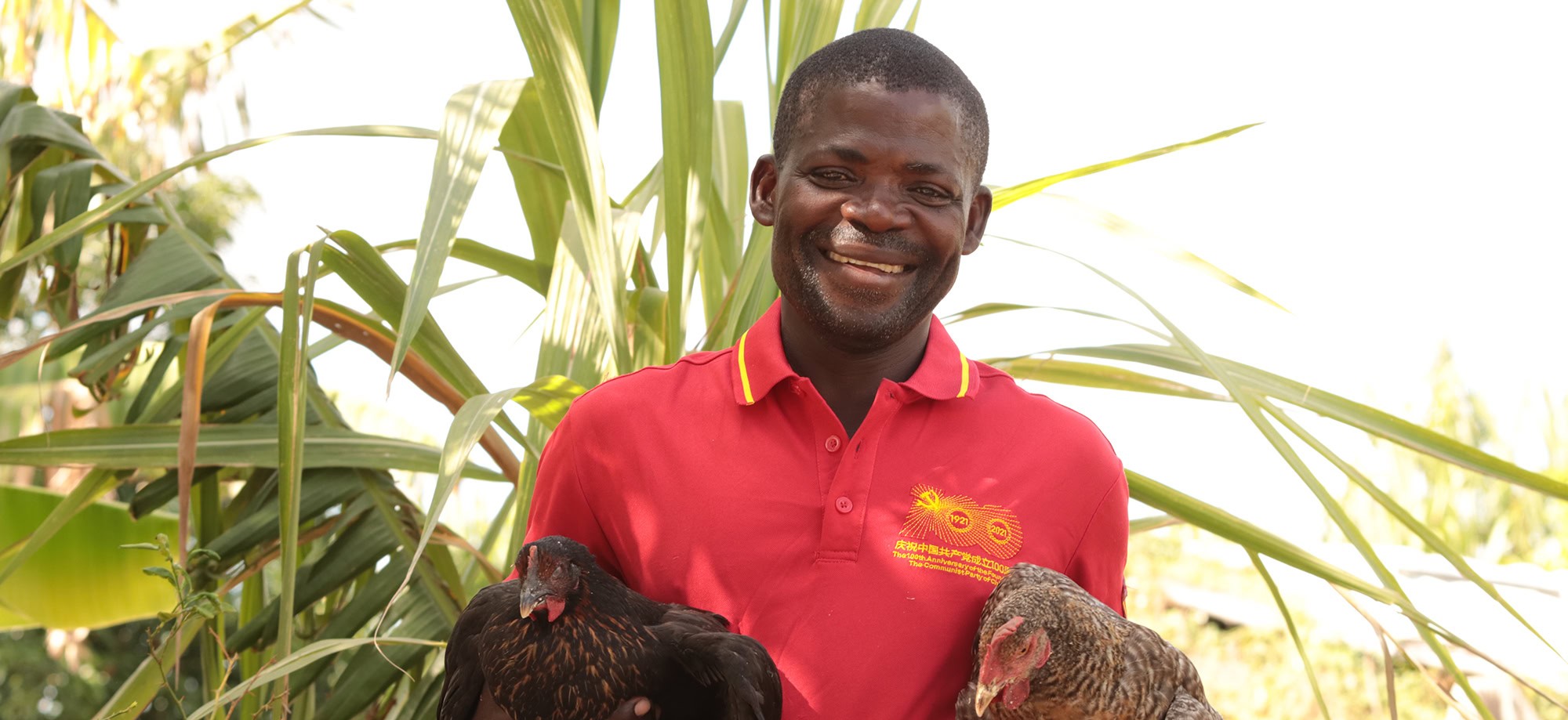 Can a chicken bring about a significant change in life? The 48-year-old Andre from Mozambique can certainly attest to that. Due to the effects of climate change, his crops have been failing more frequently. As a result, he didn’t have enough food and money for his family. Thanks to the Sasso chicken, Andre now has […]